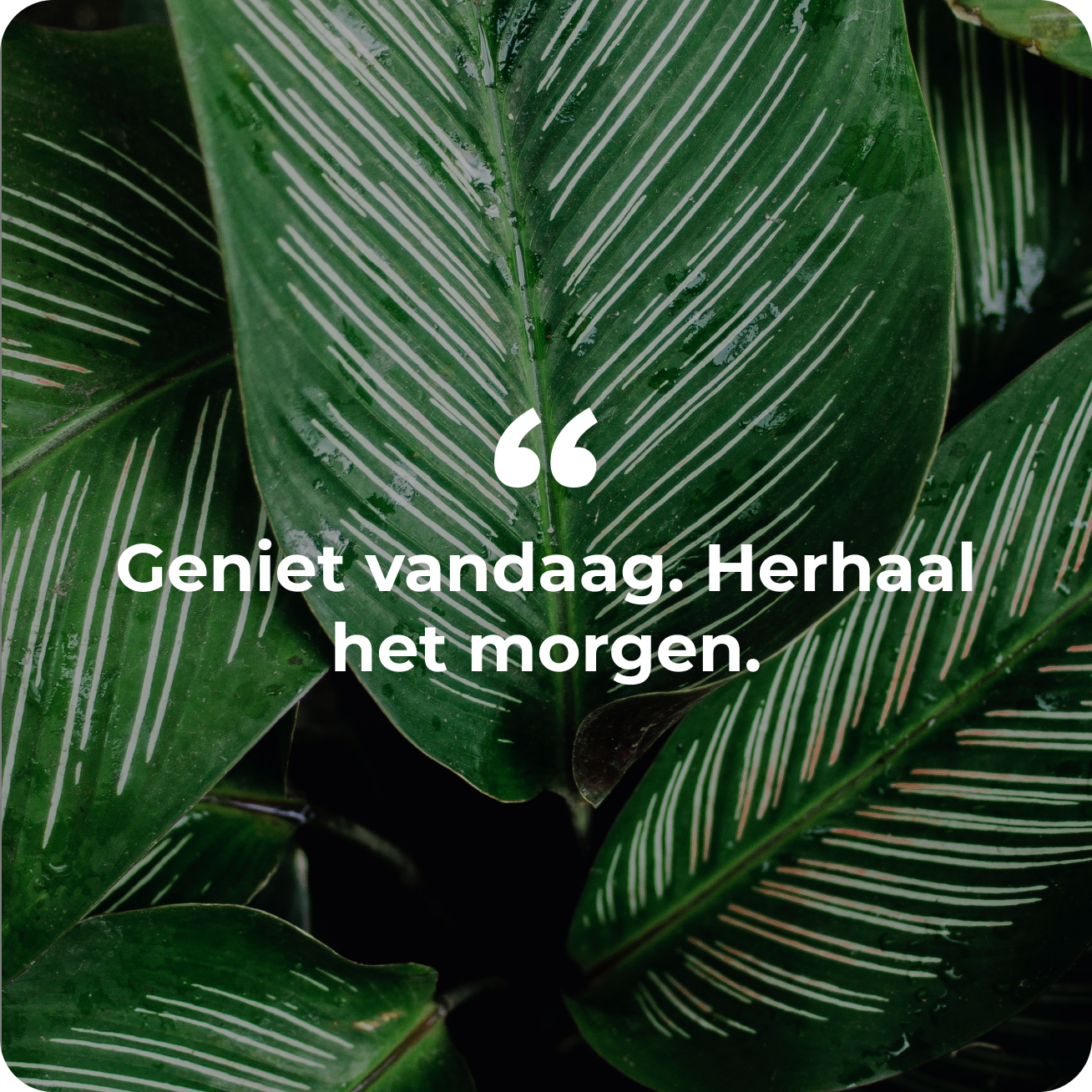 positieve spreuk